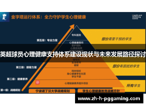 英超球员心理健康支持体系建设现状与未来发展路径探讨