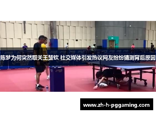 陈梦为何突然取关王楚钦 社交媒体引发热议网友纷纷猜测背后原因