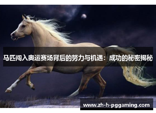 马匹闯入奥运赛场背后的努力与机遇：成功的秘密揭秘