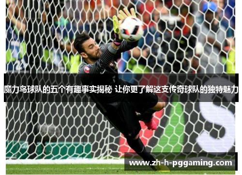 魔力鸟球队的五个有趣事实揭秘 让你更了解这支传奇球队的独特魅力