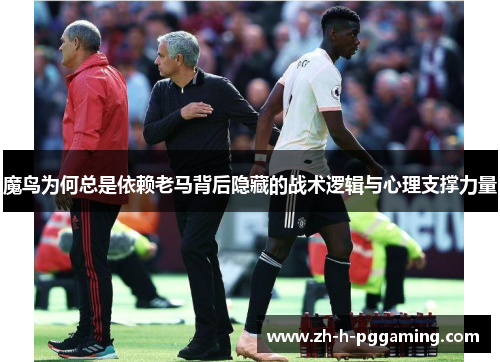 魔鸟为何总是依赖老马背后隐藏的战术逻辑与心理支撑力量